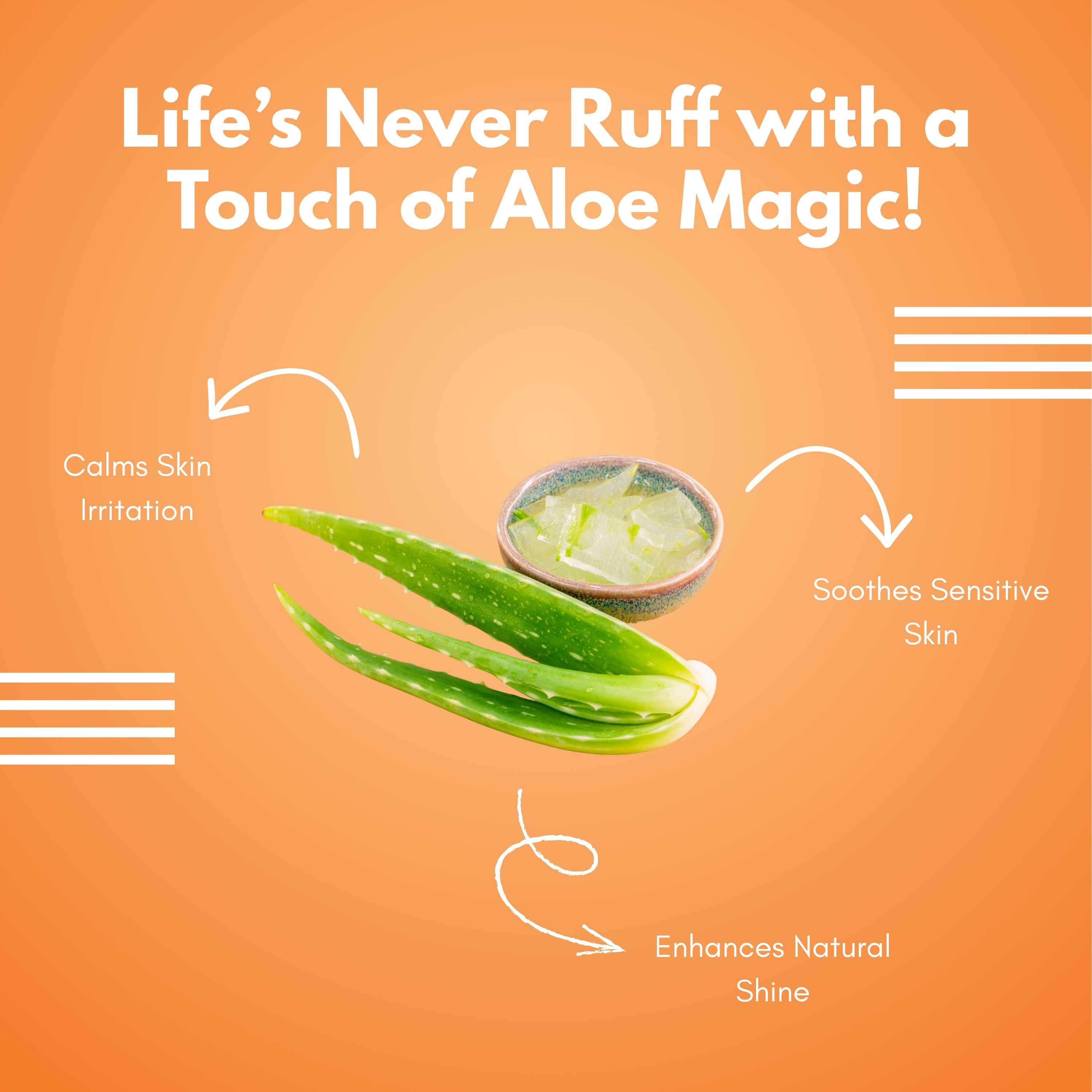 Aristopaws Anti Tick & Flea Pet Shampoo with Neem & Aloe Vera – Gentle Cleansing for Dogs & Cats (200 ml)