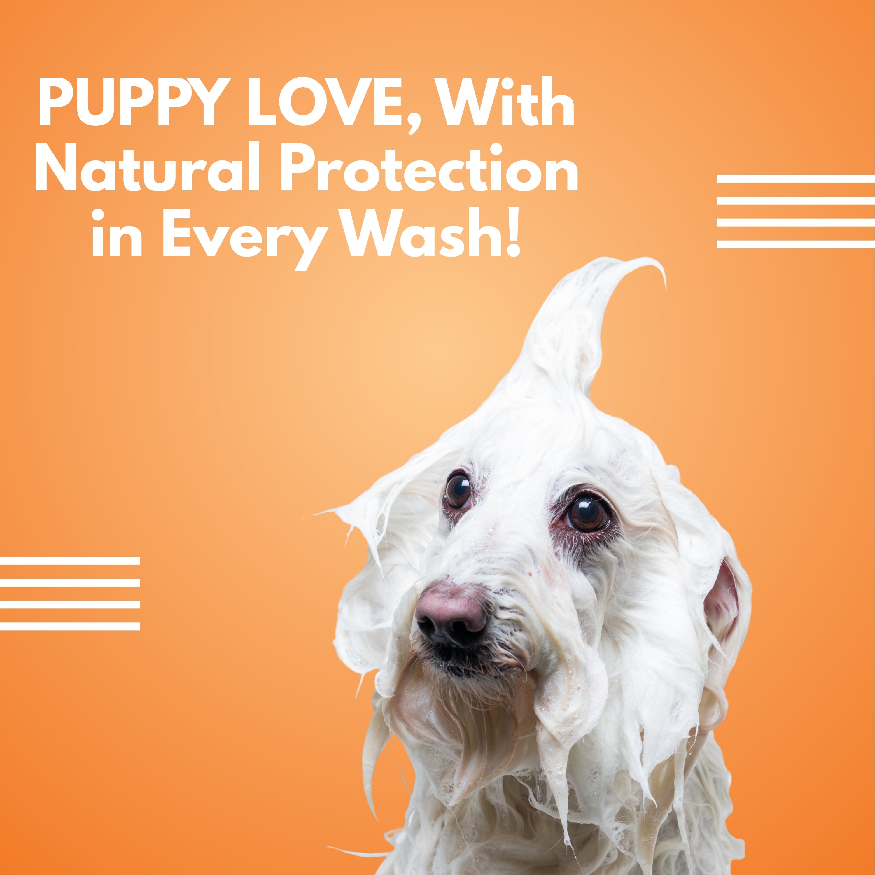 Aristopaws Anti Tick & Flea Pet Shampoo with Neem & Aloe Vera – Gentle Cleansing for Dogs & Cats (200 ml)